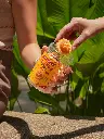 Insta (9).webp